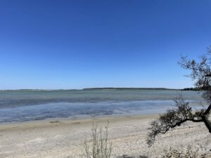 Terrain constructible 8000 m2 1